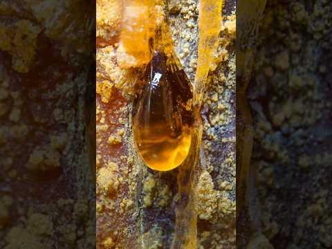 The Number One Way to Identify Amber