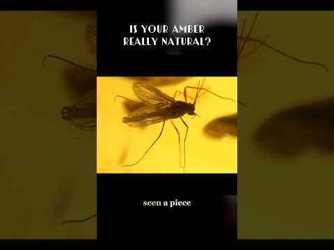 Warm to the Touch Does Not Prove It Is Natural Amber