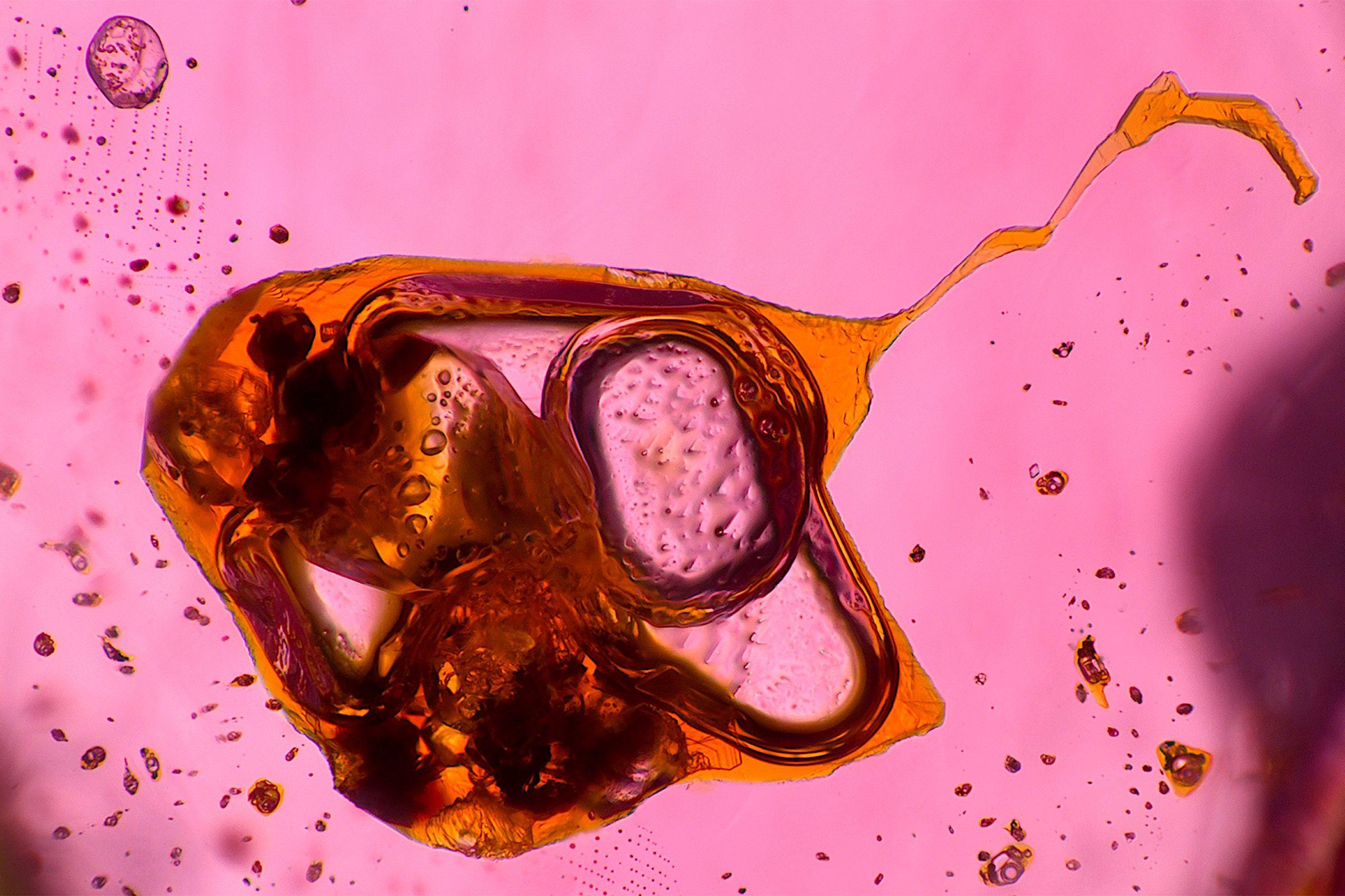 A photomicrograph showing orange and pink inclusions inside a gem spinel.
